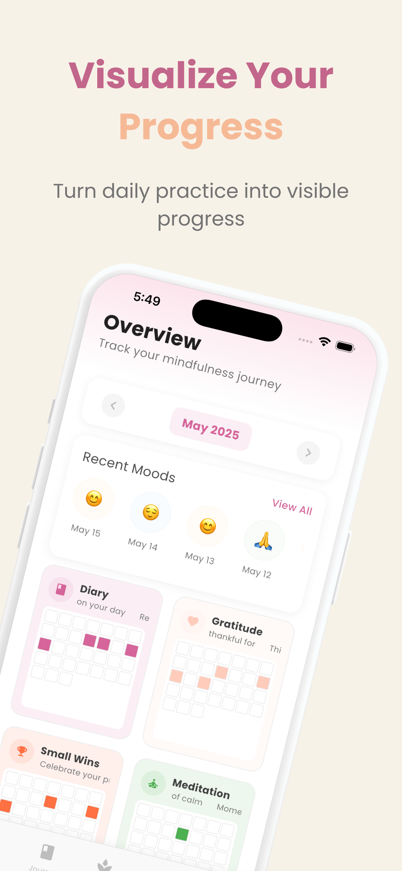 NeuroPeace App Screenshot - Progress Overview
